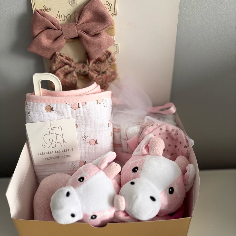 Pink Baby Gift Set